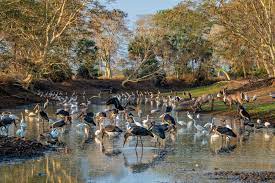 Here Are Our Best Photos Of 2019 Farm Animals Photography Wildlife Park Animals Photography