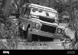 Image result for Shetland Beige 1980 Land Rover