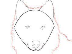 How To Draw A Wolf Step By Step Draw Central Wolf Face Drawing Wolf Sketch Wolf Drawing Easy
