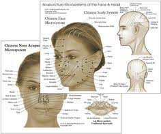 Reflexology Chart Face Skull Look 10 Years Younger In