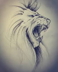 Studio Brutto Per Cover Up In Prog Lion Sketch Pencil Art Drawings Animal Drawings