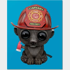 Honey Badger Posters and Art Prints for Sale