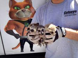 Our shelter is located in berlin. Commercial Wildlife Removal Catseye Pest Control