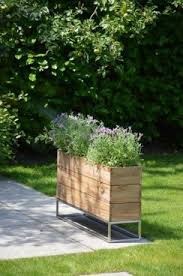 Minigarden Mini Garten Pflanzen Sommergarten