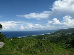 The barbados cherry tree is a unique variety with a tropical look that's sure to liven any planting location you choose. Where Are The Cherries Review Of Cherry Tree Hill Barbados Caribbean Tripadvisor