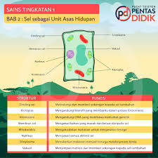 You can create one as well, really easily.get started. Pusat Tuisyen Pentas Didik Sains Tingkatan 1 Bab 2 Sel Sebagai Unit Asas Hidupan Sel Tumbuhan Facebook