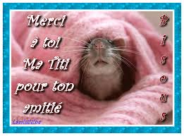 Résultat de recherche d'images pour "mon amie images"