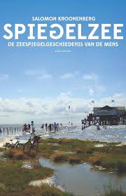 Bol Com Spiegelzee Salomon Kroonenberg 9789045032962 Boeken