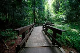 Whispering Woods Natural Area | Parks & Trails | THPRD