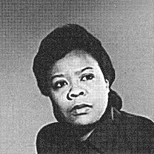 HOME SECURITY SYSTEM WITHOUT MARIE VAN BRITTAN BROWN