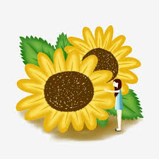 Bersikaplah seperti bunga matahari, yang selamanya hanya akan menatap pergerakan matahari, saaat matahari tidak ada ia akan merunduk lesu bahkan tidak melirik bulan yang tentunya lebih. Gambar Kartun Bunga Yang Dilukis Dengan Tangan Tanaman Bunga Matahari Bahan Karakter Gadis Kartun Bunga Matahari Bunga Matahari Bunga Png Transparan Clipart Dan File Psd Untuk Unduh Gratis