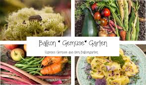 Wir nutzen cookies auf unserer website. Buch Balkon Gemuse Garten Shop Von Gartengarten