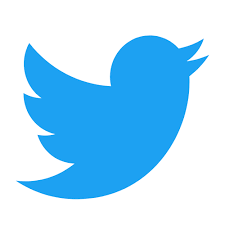 Learn the history of one of the most successful logos in the net in twitter was created more than 12 years ago and the company made it to the top 10 social. Twitter Colors Hex Rgb Cmyk Pantone Color Codes U S Brand Colors