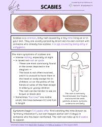 Image result for scabies on genitals
