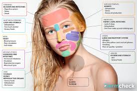 chinese face map acne cure acne causes face mapping