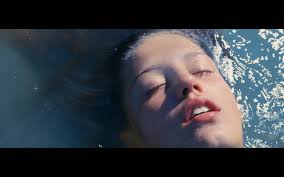 La Vie dAdèle : un roman dapprentissage mélodramatique