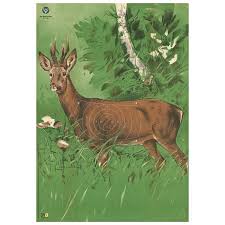 Zusätzliche kostenlose materialien auf unserer webseite finden sie weitere materialien als pdf‑dateien. Djv Wildscheibe Nr 1 Rehbock 100m Djv Jagd Shop Jagdausrustung Fur Jager Und Naturfreunde