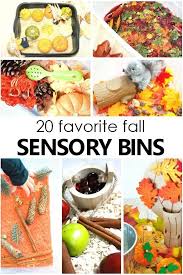 First we start with a great book. 20 Must Try Fall Theme Sensory Bins Fantastic Fun Learning Fall Sensory Bin Sensory Bins Autumn Preschool Theme