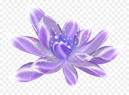 What does the violet flower symbolize? Violet Flower