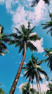 Enjoy and share your favorite beautiful hd wallpapers and background images. Aesthetic Wallpaper For Iphone 11 Hd