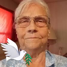 Where to find fresh shelled and bagged pecans?