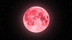Maybe you would like to learn more about one of these? Super Lua 2021 Uma Fantastica Lua Rosa Vai Iluminar O Ceu Ja Em Abril Lisboa Secreta