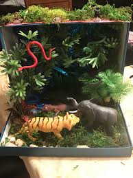 Biome In A Box Tropical Rainforest Tropical Rainforest Diorama Habitats Projects Rainforest Project School Projects