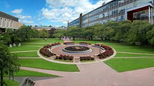 Right side hitter caitlyn meyer, from st. Daemen College Seeks To Raise 22m In First Ever Comprehensive Fundraiser Buffalo Business First