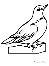 Realistic birds coloring pages for kids to print and color. Robin Coloring Pages Best Coloring Pages For Kids