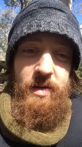 Wren secrets revealed #quickupdate