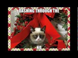 We did not find results for: Grumpy Cat Christmas Memes With Xmas Music Youtube