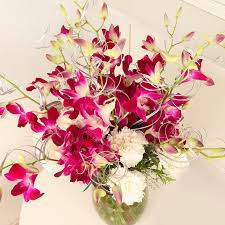 Browse the user profile and get inspired. Online Flower Delivery Send Flowers Cakes With India S 1 Florist Floweraura