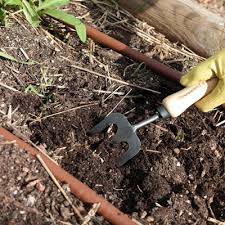 In this article, a review has been made on the sources, isolation, purification and characterization of natural proteins. Dewit Small X Treme Handfork 31 3015 Product Review