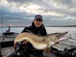 esox lucius worlds biggest pikes