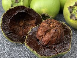 Image result for z p%u0159ednice jedovat 