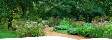 Für die gestaltung und pflege ihrer gartenanlage stehen wir ihnen mit unserer fachlichen kompetenz in baulichen und gärtnerischen maßnahmen zur 16 23569 lübeck. Garten Und Landschaftsbau Lubeck Gala Dachbegrunung Flechtzaune Zaunanlagen Holzbau Terrassenbau Pflasterarbeiten Baumfallungen Uvm Naturraume