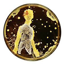 Forget Paint Bacteria Can Bring Art To Life Literally