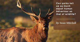 Can parks tell us as much about human behaviour as that of wildlife?