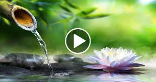 Relaxing Piano Music Sleep Music Water Sounds Relaxing Music Meditation Music 47 Fit Life Videos Meditation Music Sleep Relaxing Music Sleep Meditation Music