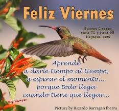 Aprende A Darle Tiempo Al Tiempo Feliz Viernes Feliz Viernes Feliz Viernes Frases Feliz Viernes Buenos Dias
