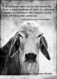 Evolve Go Vegan Http Vegankit Com Http Www Humanemyth Org Mediabase 1049 Htm Stop Animal Cruelty Animals Animal Abuse
