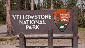 To get in touch and feel the natural world, you can walk through a national park. 15 Things You Might Not Know About Yellowstone National Park Mental Floss