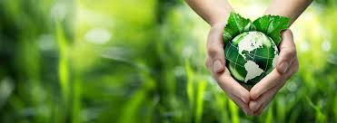 Contact us today for treatments for termites, rodents, bed bugs & more. Green Pest Control Ehrlich Pest Control