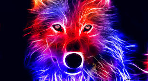 Best 35 Red Wolf Desktop Background On Hipwallpaper Red Christmas Wallpaper Red Victorian Wallpaper And Red Wallpaper Tier wallpaper wolf wallpaper animal wallpaper galaxy wolf wolf painting painting art painting tools wolf artwork wolf spirit animal.