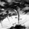 Download high quality tornado clip art from our collection of 65,000,000 clip art graphics. 1