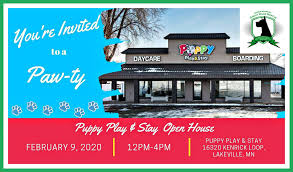 Then take care of all the cute puppies every day and keep them happy each level. Puppy Play Stay Open House Upper Midwest Great Dane Rescue