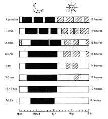 Le nombre d'heures de sommeil pour un bébé de 4 à 11 mois. Sommeil Enfant Combien D Heures De Sommeil Selon Son Age