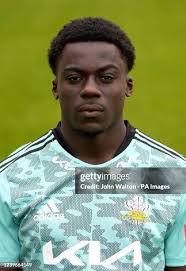 116 John Barnwell Stock Photos, High-Res Pictures, and Images