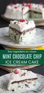 No Churn Mint Chocolate Chip Ice Cream Cake Cupcakes Kale Chips Recipe Mint Chocolate Chip Ice Cream Cake Mint Chocolate Chip Ice Cream Ice Cream Cake Recipe Homemade