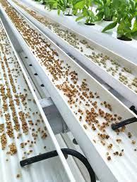 Microgreens Hydroponic Farming Hydroponic Gardening Diy Vertical Farming